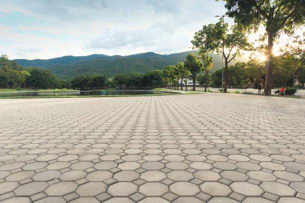 Professional Driveway Pavers in Roanoke, AL
