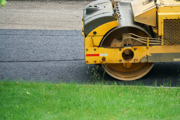 Best Custom Driveway Pavers  in Roanoke, AL